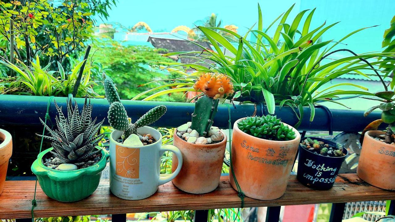 Sena Home 2Nd*Near Danang Han River*Dragon Bridge Esterno foto